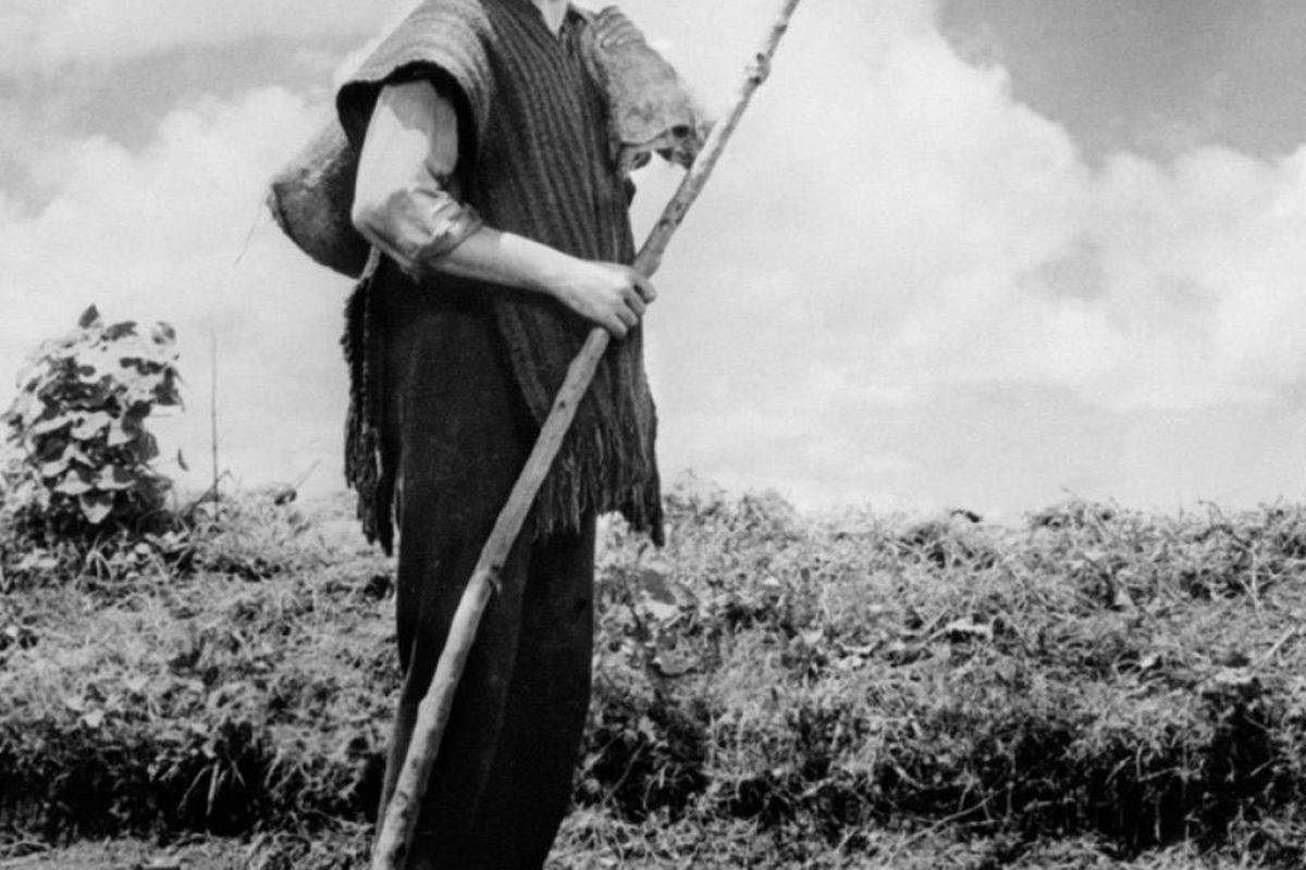 1e43e586a9cd34e097ae8deb8aa3d6bc XL 17c216c3