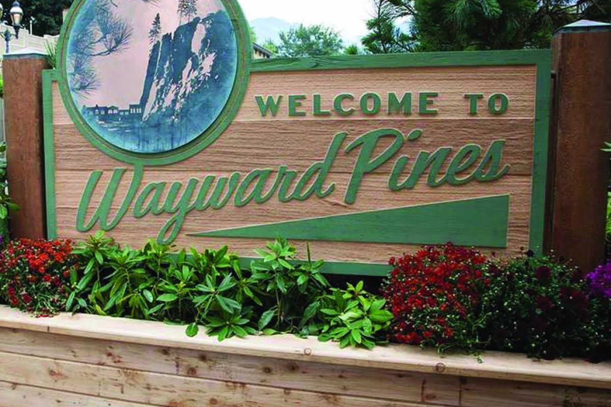 6f8fcda6bd385aa02b34590c17bec639 XL 1771e1eb