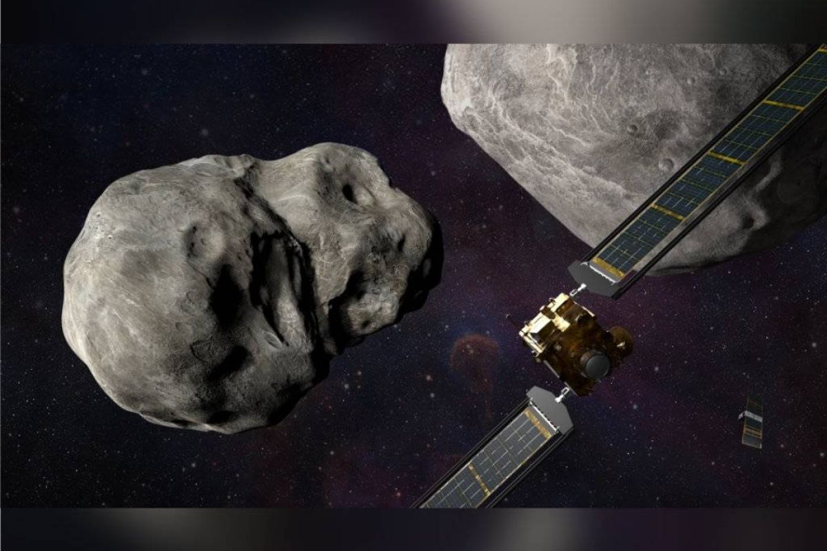 8b1550c2f8bbe0818e34ea85254b626d XL 170f5001