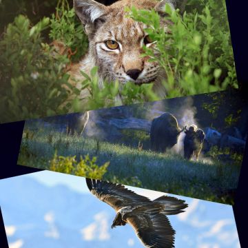 ΦΕΒΡΟΥΑΡΙΟΣ ΣΤΟ VIASAT NATURE