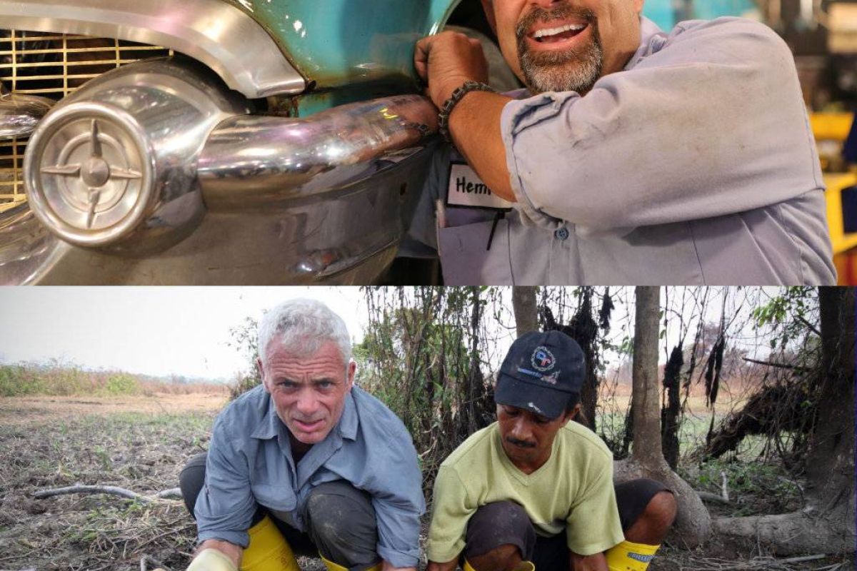 9e6b4713a42ba46dc03a26058c7615eb XL 199ad0f8