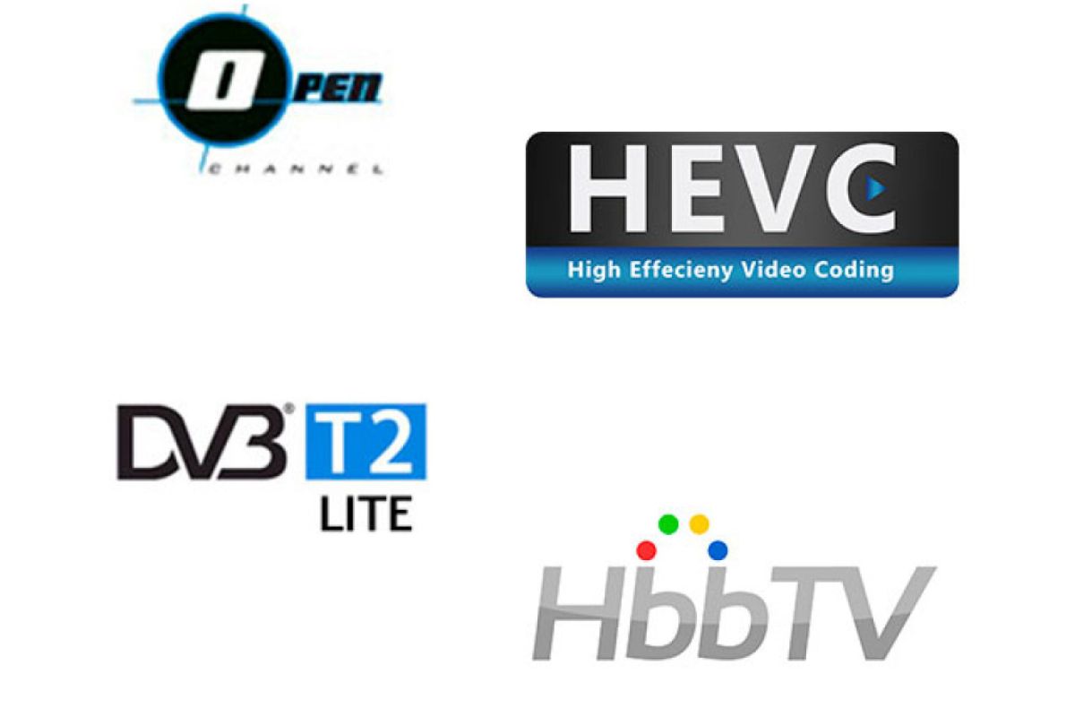 e1ef6b1511175103949b82a229ea0710 XL 1913d2a1