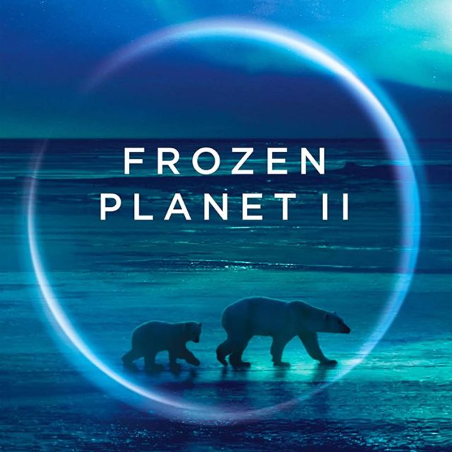 H συναρπαστική σειρά ντοκιμαντέρ “Frozen Planet II” στον ΣΚΑΪ