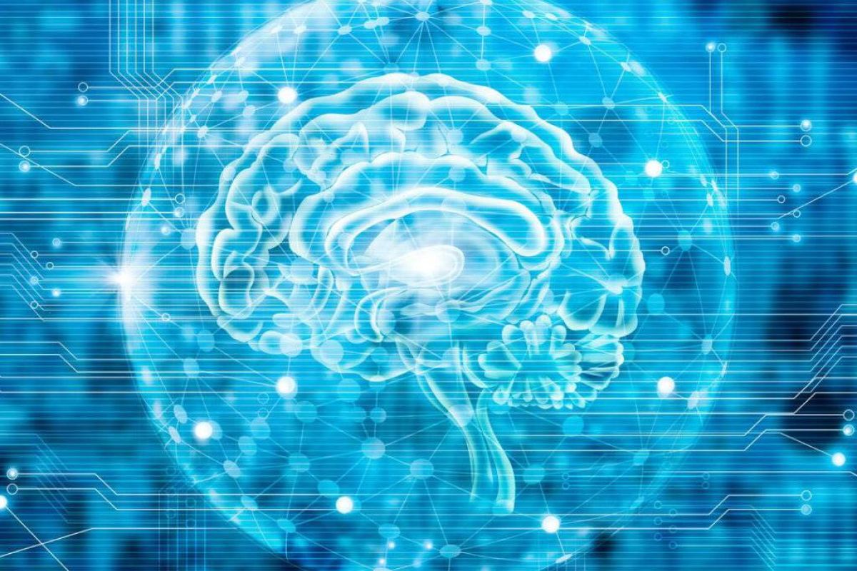 044f6e810f443a0fb80cbaed2f2c066d XL 1af289e2