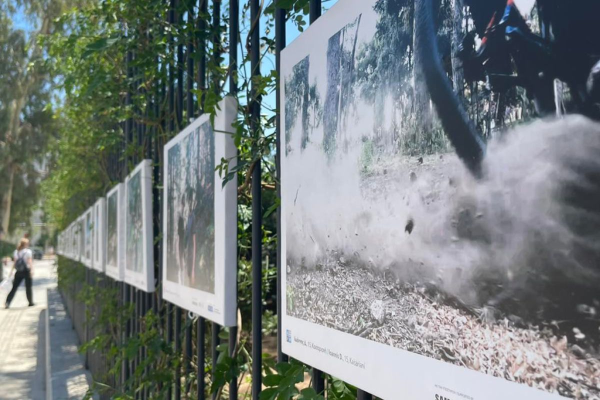 1024X1024 72 1a8af159