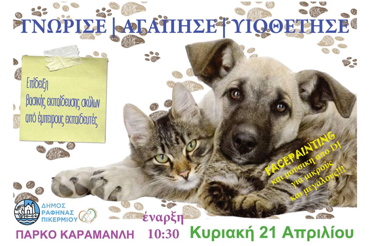 Γιορτή φιλοζωίας την Κυριακή στη Ραφήνα – Γνώρισε, αγάπησε, υιοθέτησε!