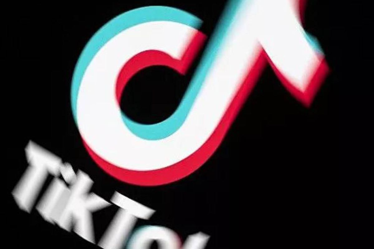 e956d5386a93cbed7a55fb812d7c4f38 XL 1a3b3b67