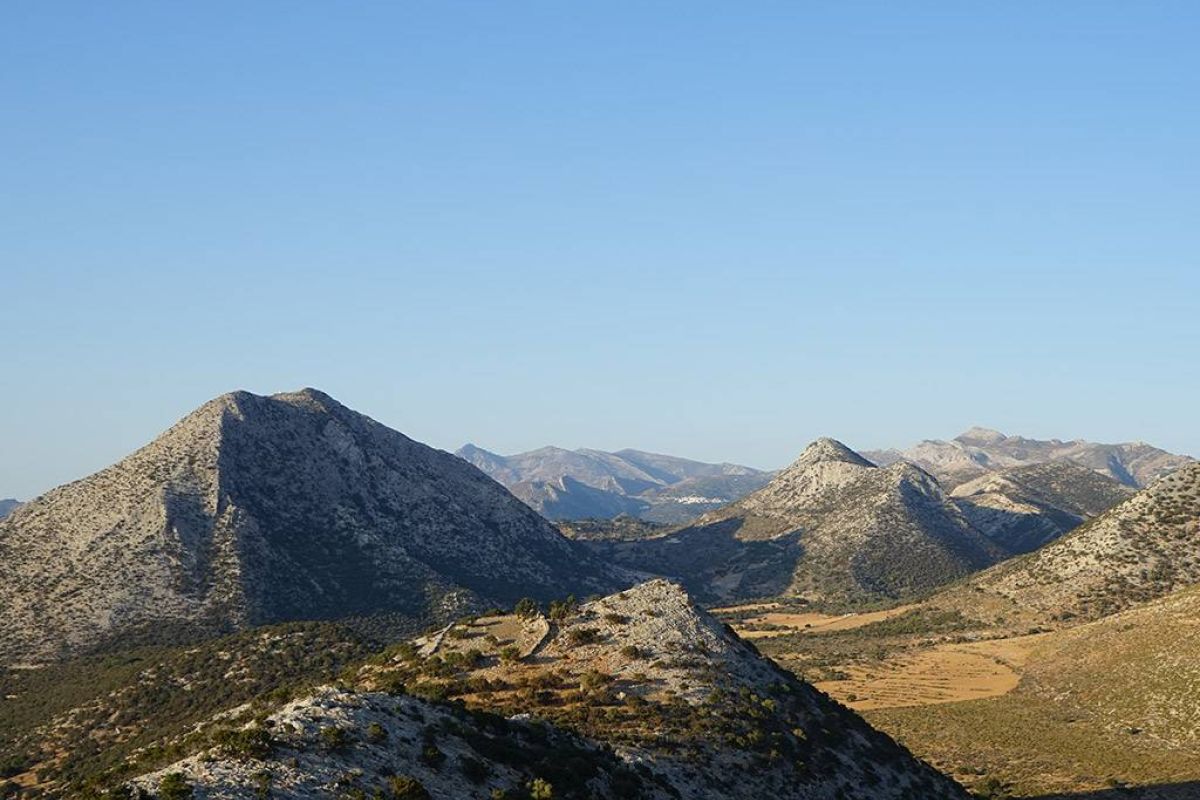 f93ad53099d9d329a343090f1eb3b6ed XL 1ad9271e