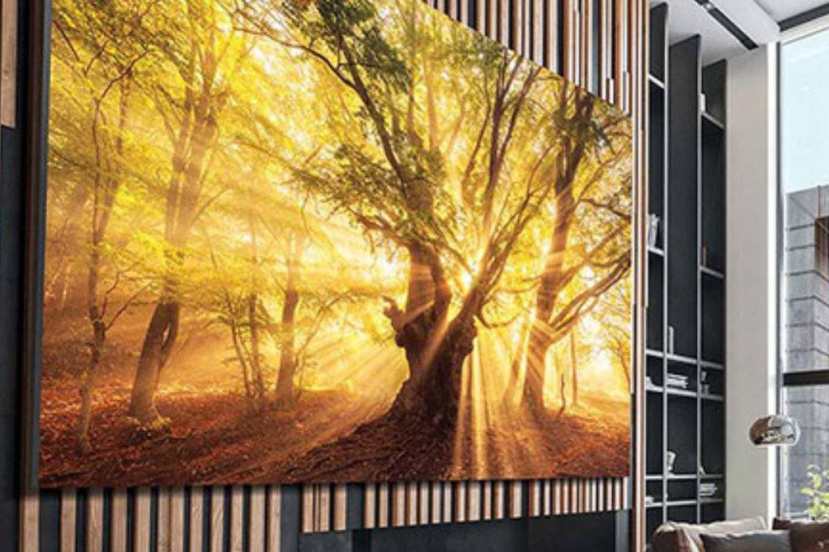 8b992cf2e62a4c87095d3a8438776bb9 XL 1bc7d713