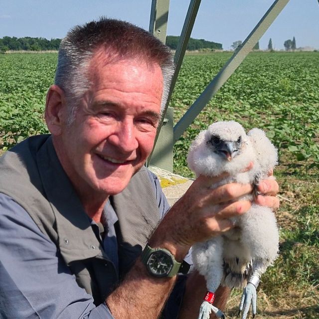 Άγρια Σλοβακία, με τον Νάιτζελ Μάρβεν