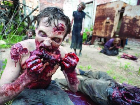walking dead 1b215004