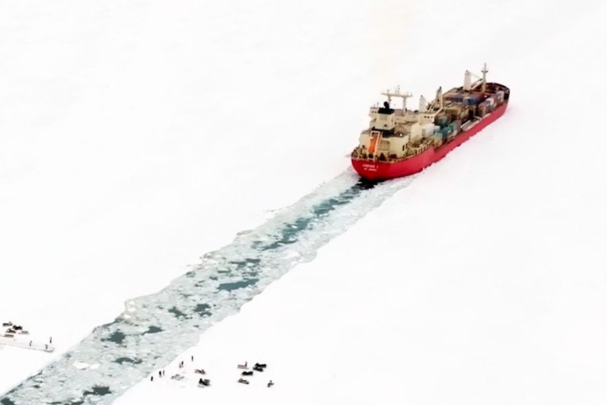 1024X1024 111 1c658ad6