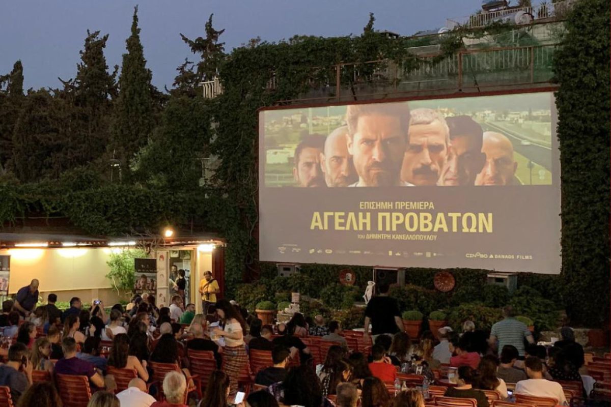 Cinobo PR Pack of Sheep 1c3c67c8