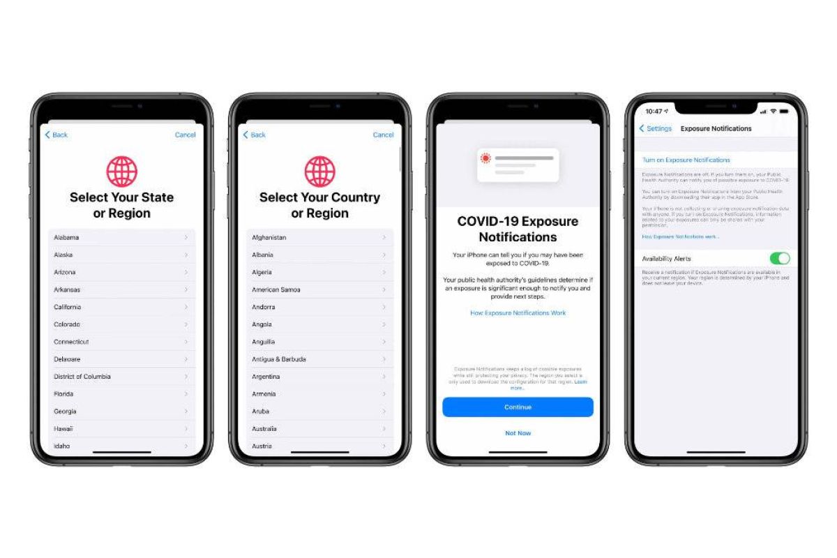 1d32c39dccd385f0074e6d3bf8fc81b4 XL 1dbb674b