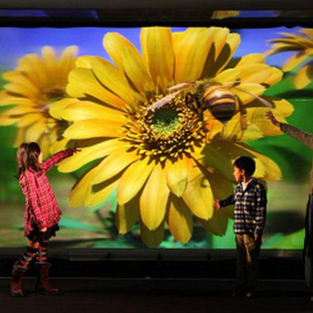 Ιάπωνες ερευνητές αναπτύσσουν οθόνη 5 μέτρων για 3D χωρίς γυαλιά