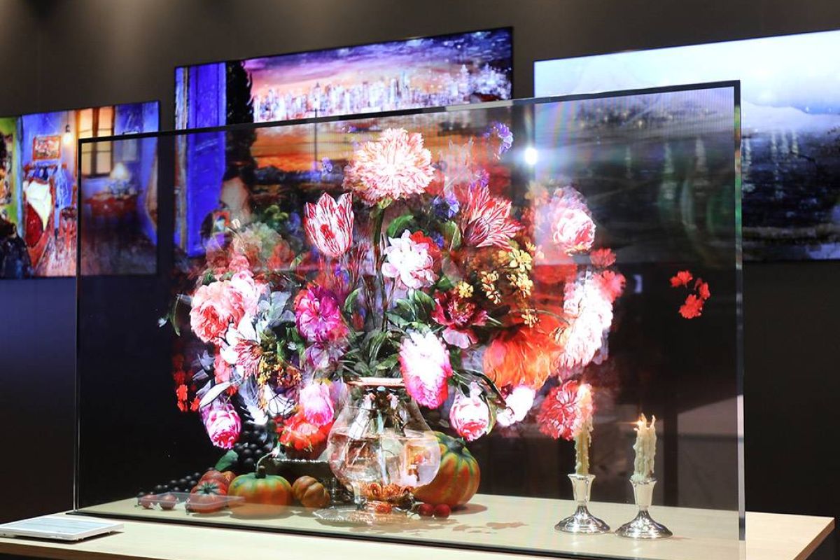 f7958a303ef2bae2f76aafe910c9aa56 XL 1ddfc8ab