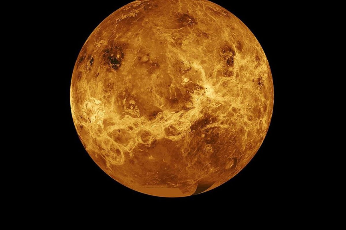 venus 1db0cf86