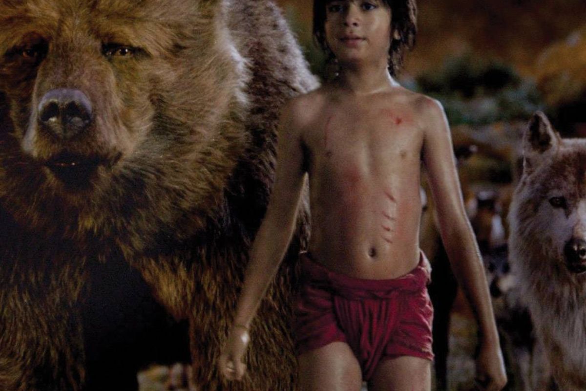 442b25eb3d807820117bf1fdff4ea73b XL 1e4cde87