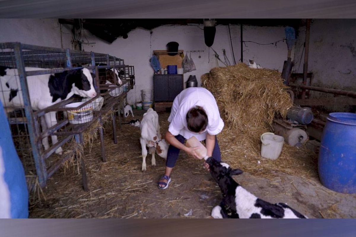 491602ce5f2151a45ab508a7430d30fd XL 1e8d204f