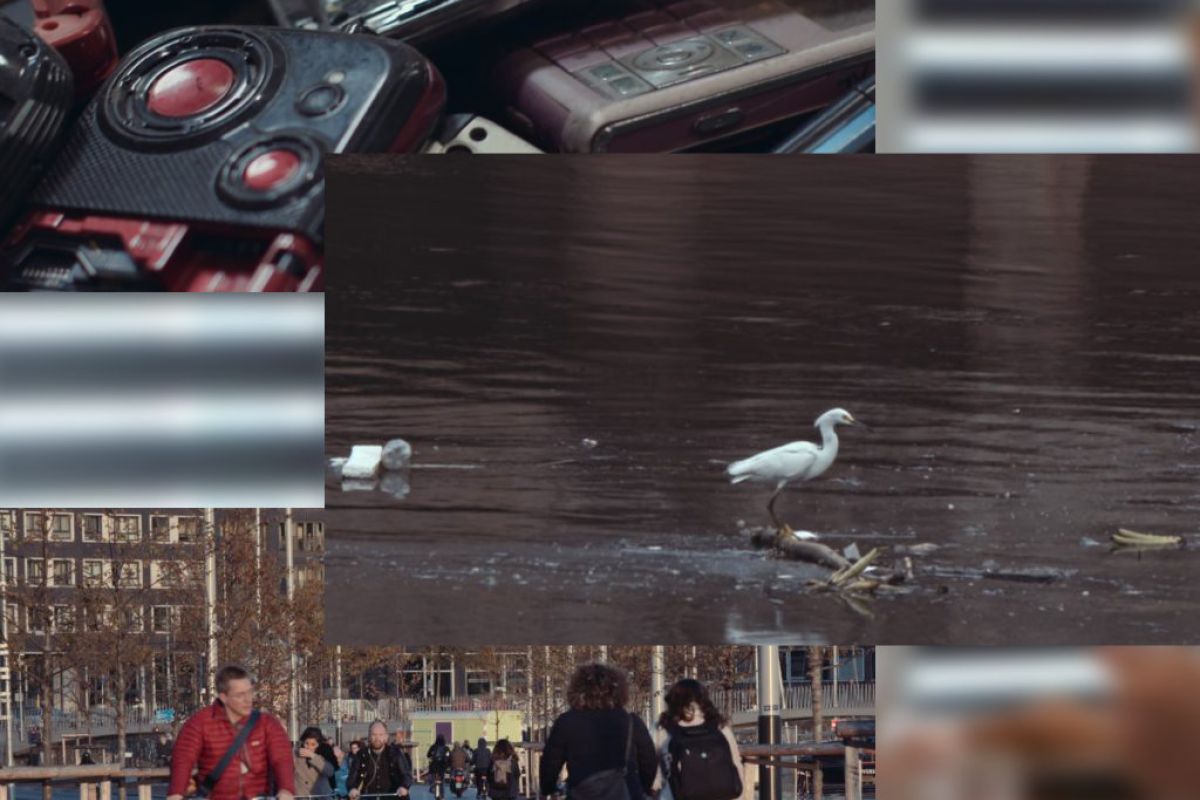 ερτ3 ντοκιμαντέρ