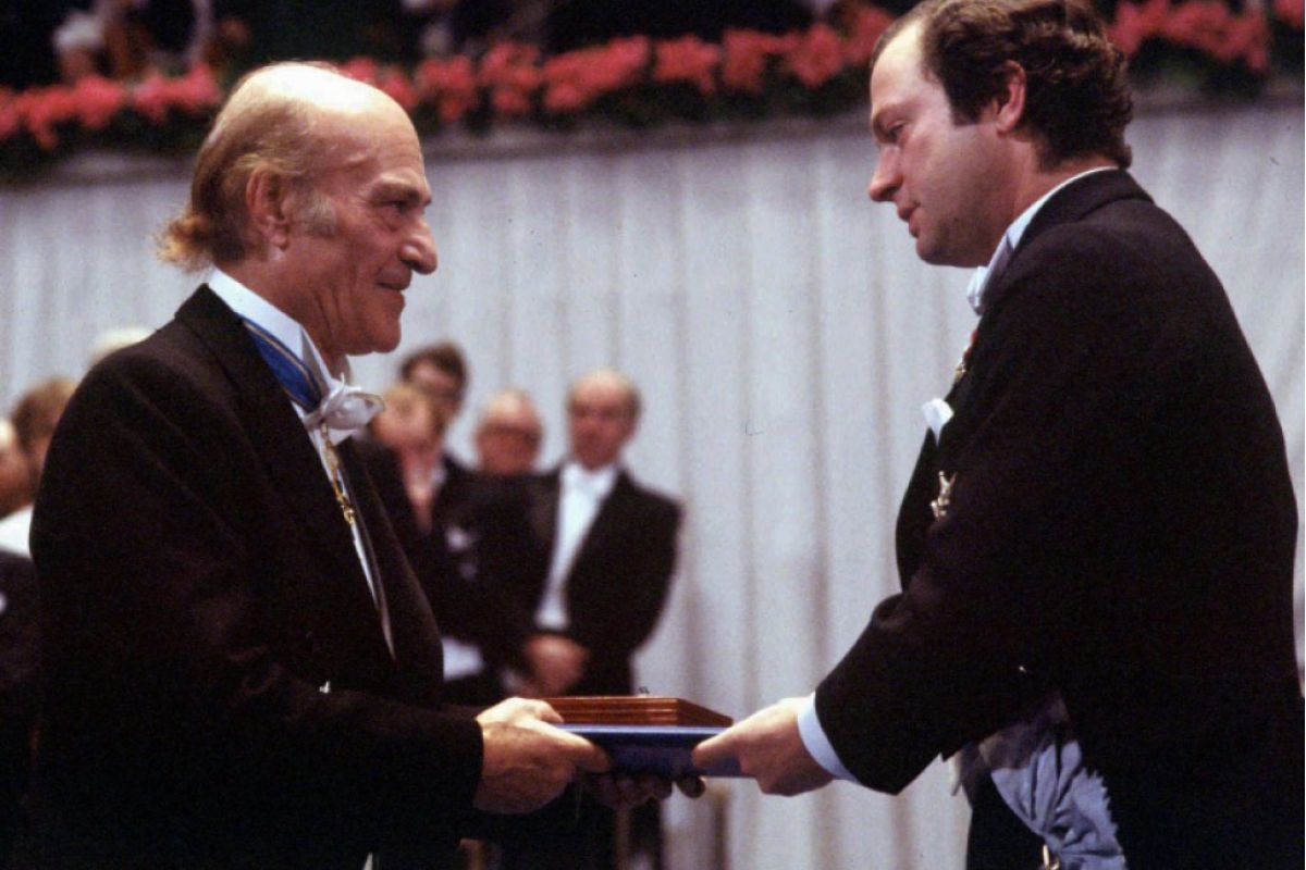 34778811f4fa2f021d9de101106aa26f XL 1f8de5c1