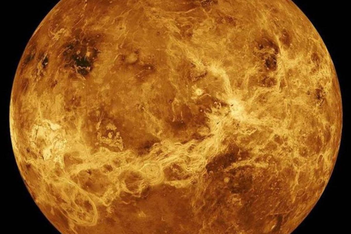 60aa04508cd0d3f755627f543b797073 XL 1f8adb15