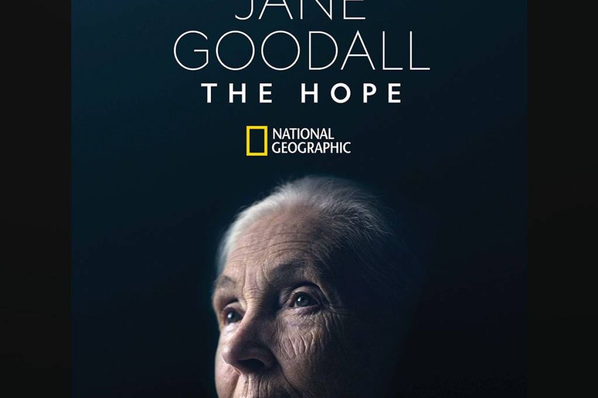 9e7fa1928fbb1b1fcc19d6da4d5efbc4 XL 1f5ce582