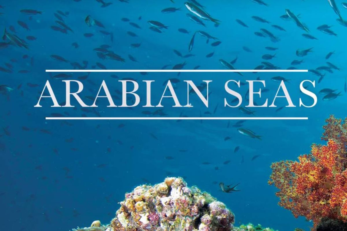 a5ee523ecf0d1656ed1832e4ecba4521 XL 1ffd7ece