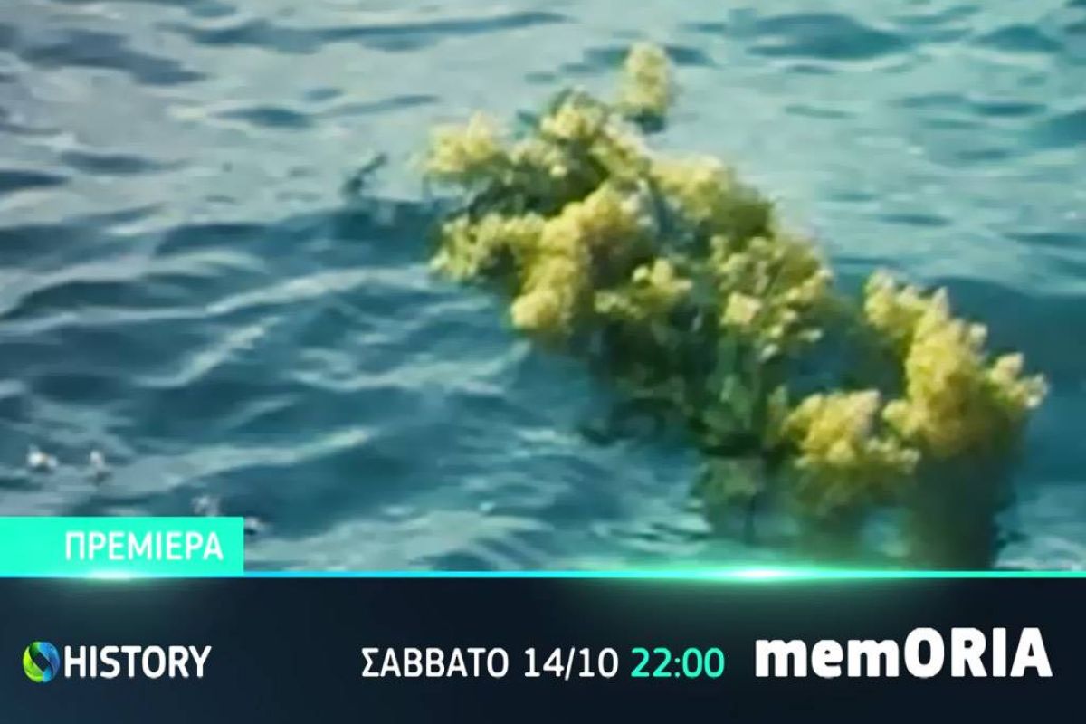 b773573f64e09a55ae769367d4a3ece8 XL 1fb3a260