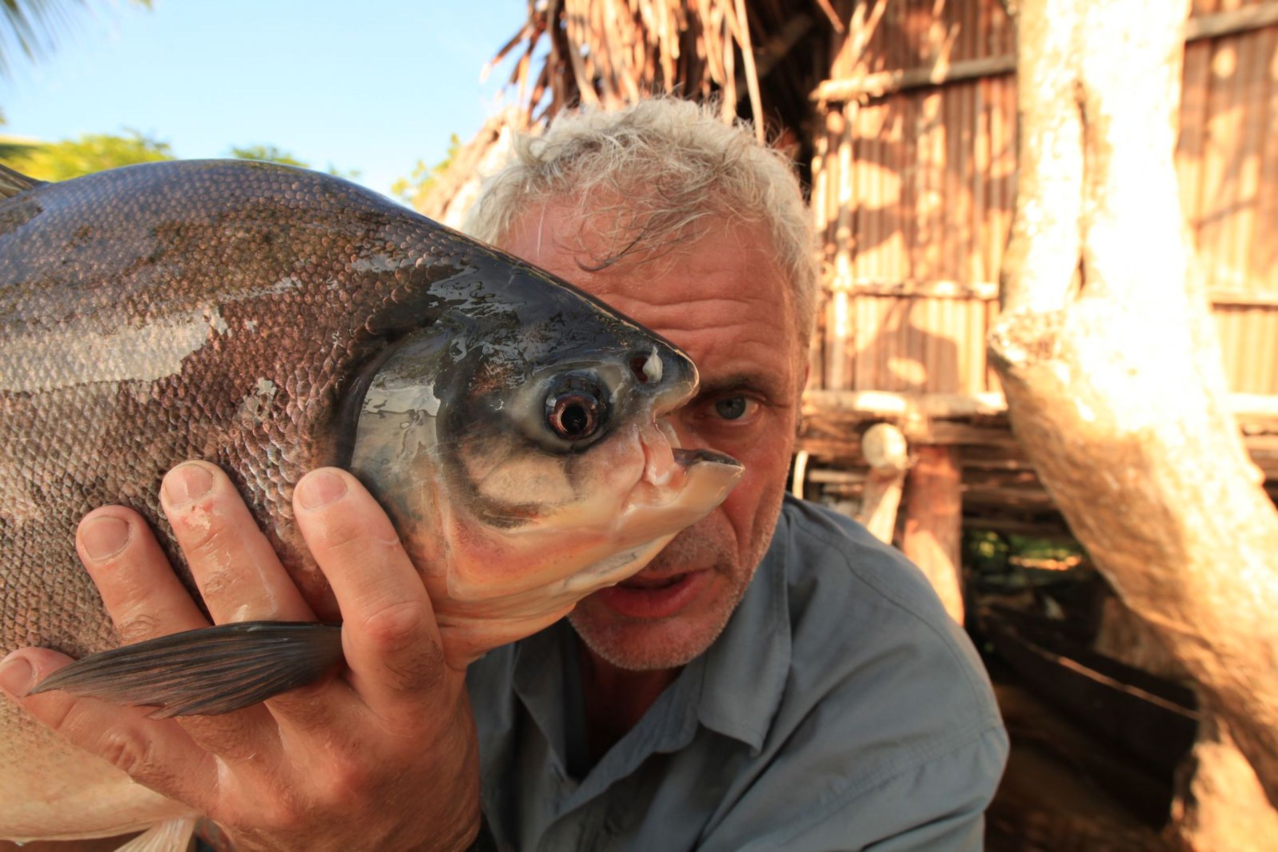 Viasat Nature River Monsters 3 1380 2050092c