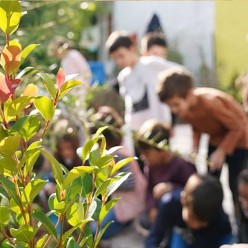 Η Nova και ο Δήμος Αθηναίων ενώνουν τις δυνάμεις τους για μια Αθήνα πιο πράσινη