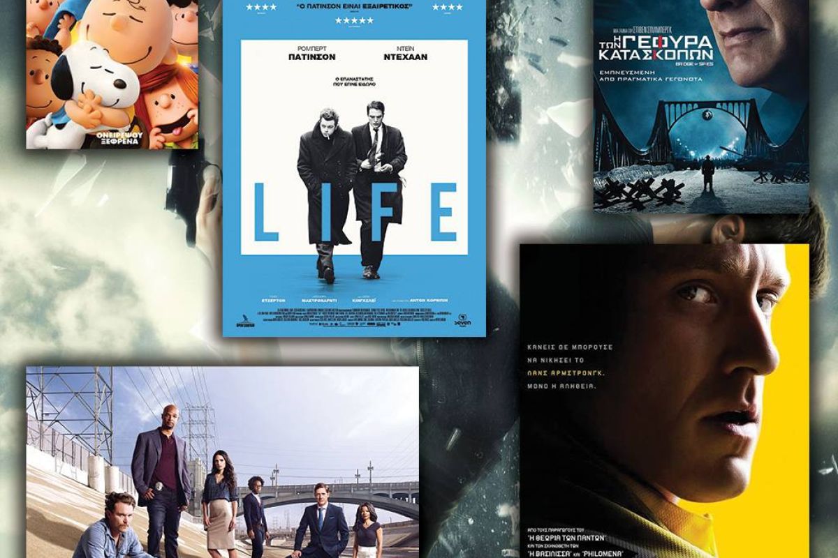 4408f4cdc4bd9b44c99b929e132b5395 XL 21372b02