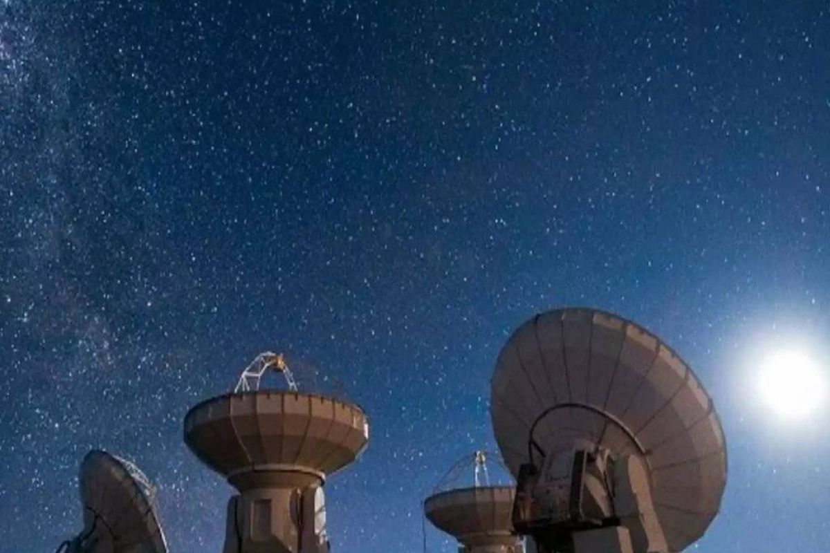 524fa814e66c0f5310f6aeb17c41e7b2 XL 22455bd5