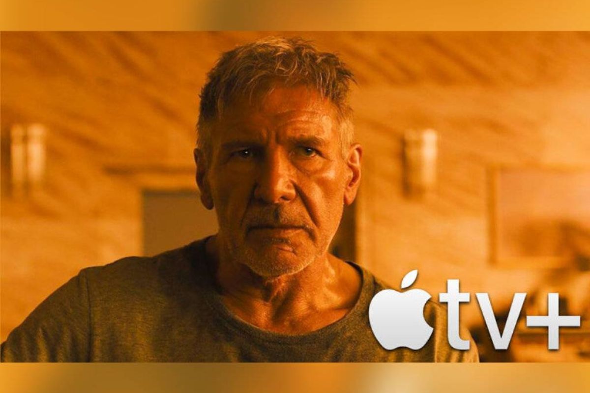 7ac2dede3d2a97152abd01b4f453d5cd XL 22b505ca