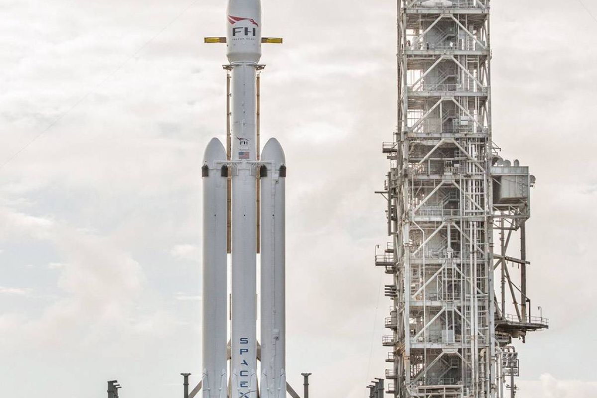 197d8323ba0ae006c5da5a56e1dd309a XL 239d7721