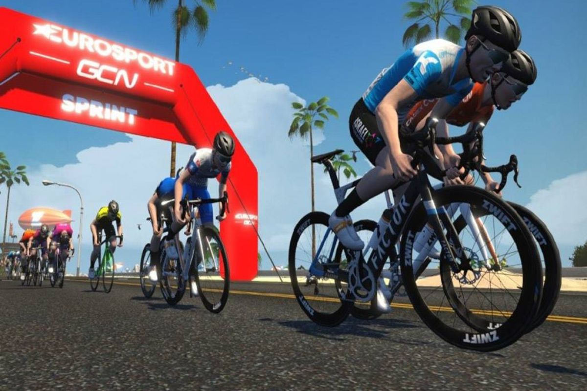 e356205102ba3c134cf7ee019351f8c1 XL 23eeca19