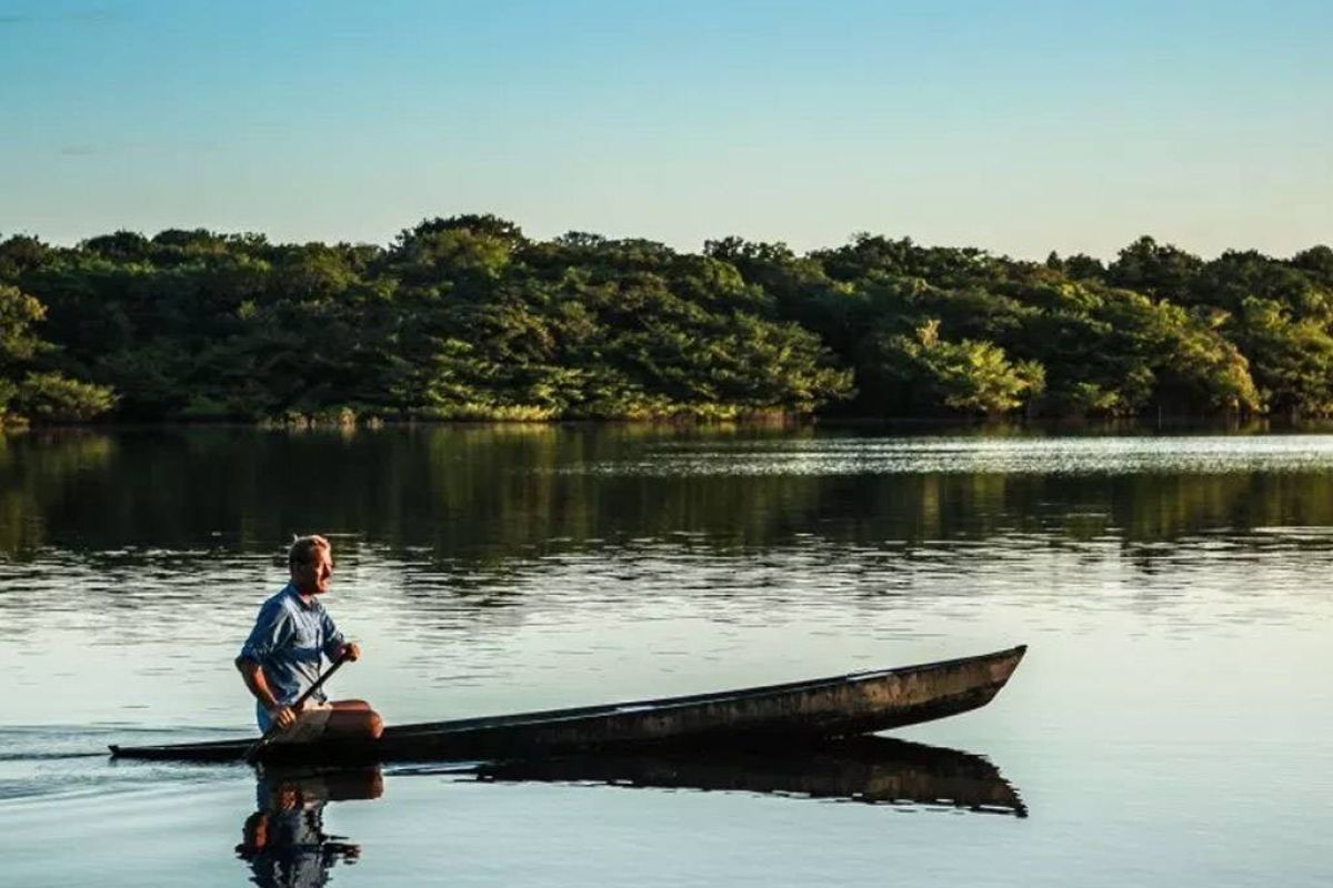 fe0971df0b53d33f7ce14fee54a4db12 XL 2334224c