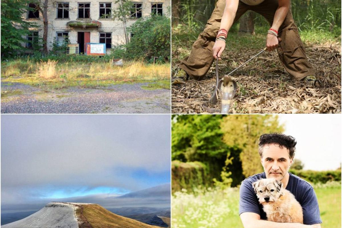 d324f5b8aef90b709440733c8a4818c9 XL 240d4220