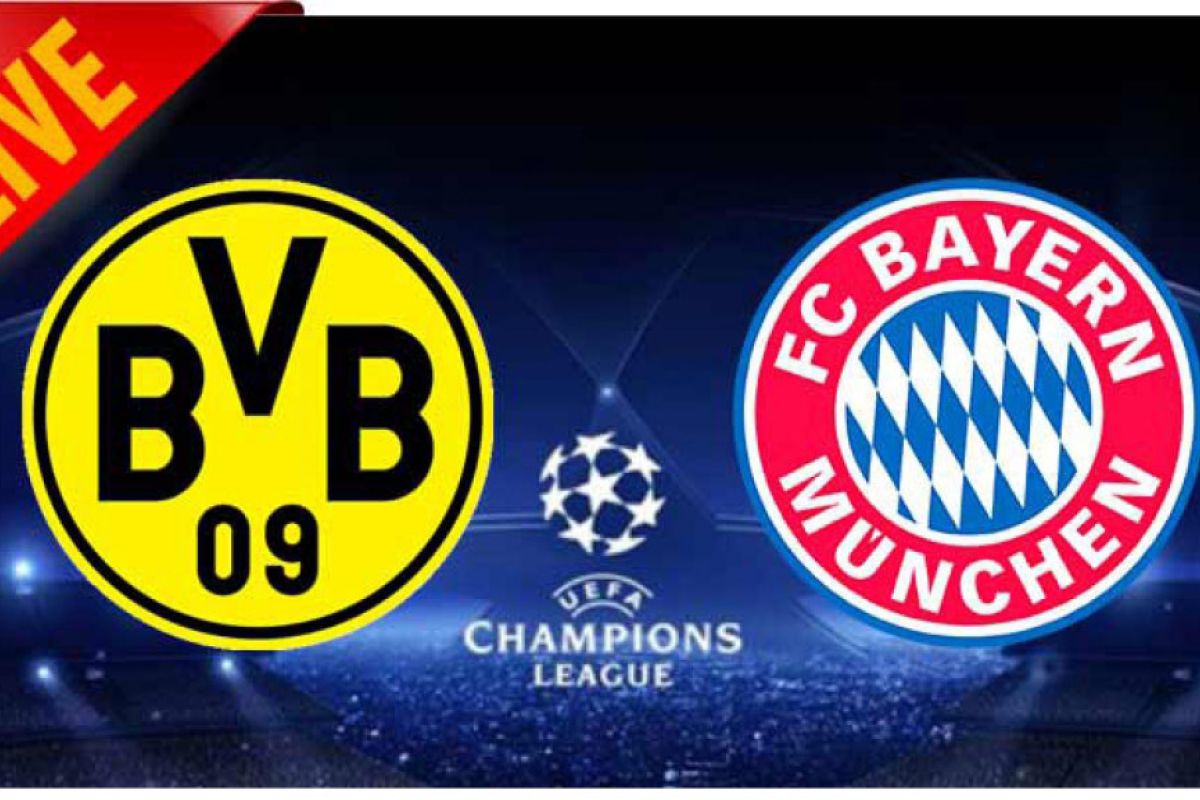 d81dde7813bd99a2f6a5498a2ec932ec XL 259bb4a4