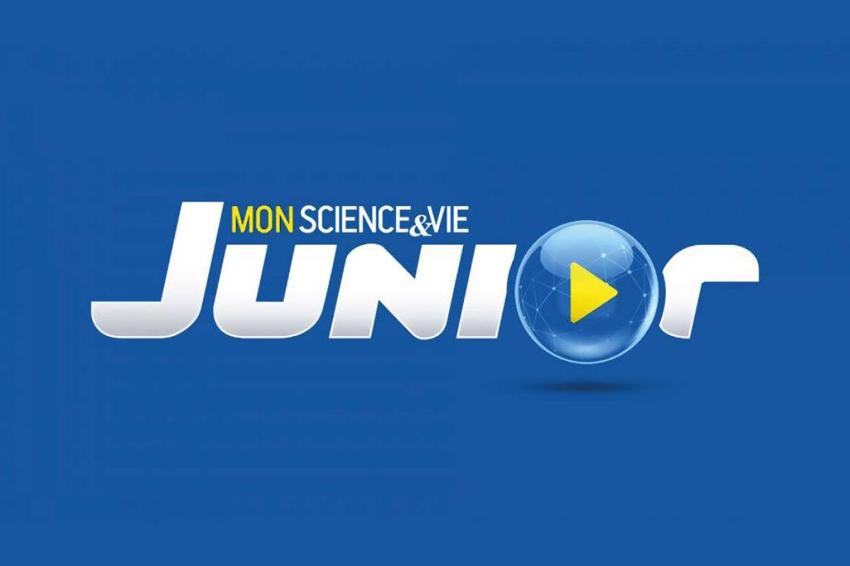 0acdb25b4a0b8ec695dd4940ba98b3f9 XL 268d5559