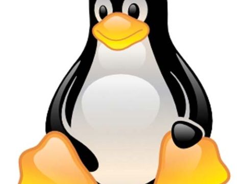 3.linux tux web20 2643845f