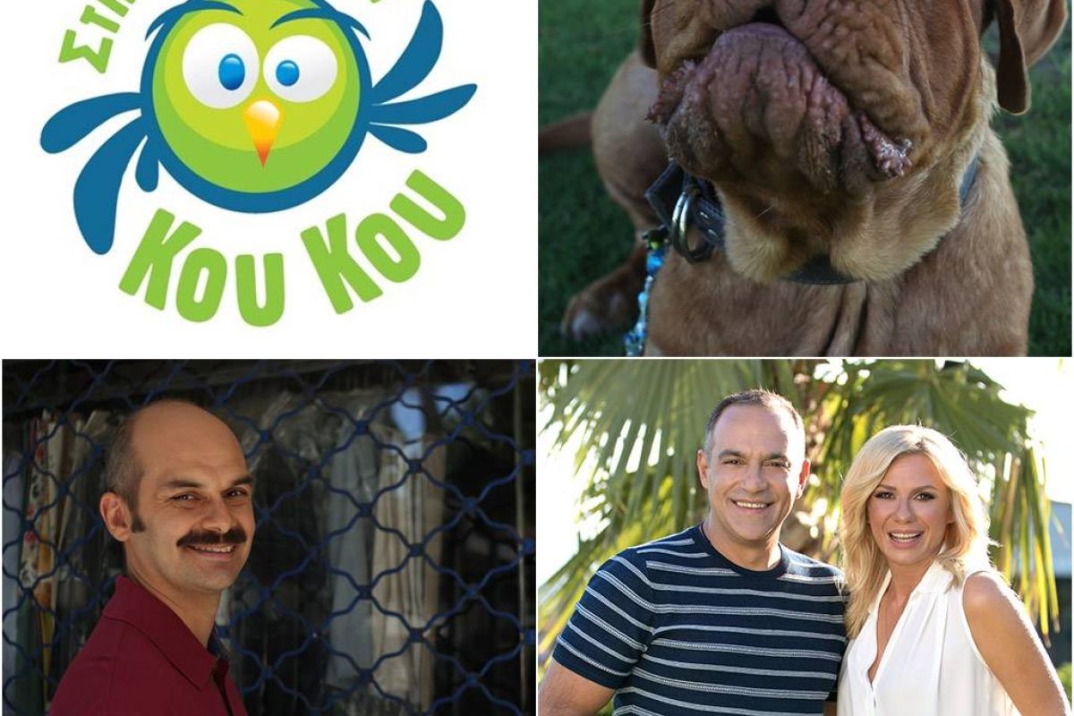 fe256287aeb755478de8013169d793e4 XL 26cc7964