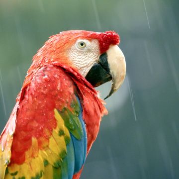 Ακραίος κόσμος, Ένα ανελέητο παιχνίδι και Μέσα στο δάσος στο VIASAT NATURE