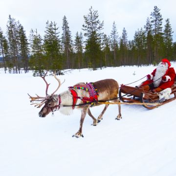 Πρωτοχρονιά στην ΕΡΤ