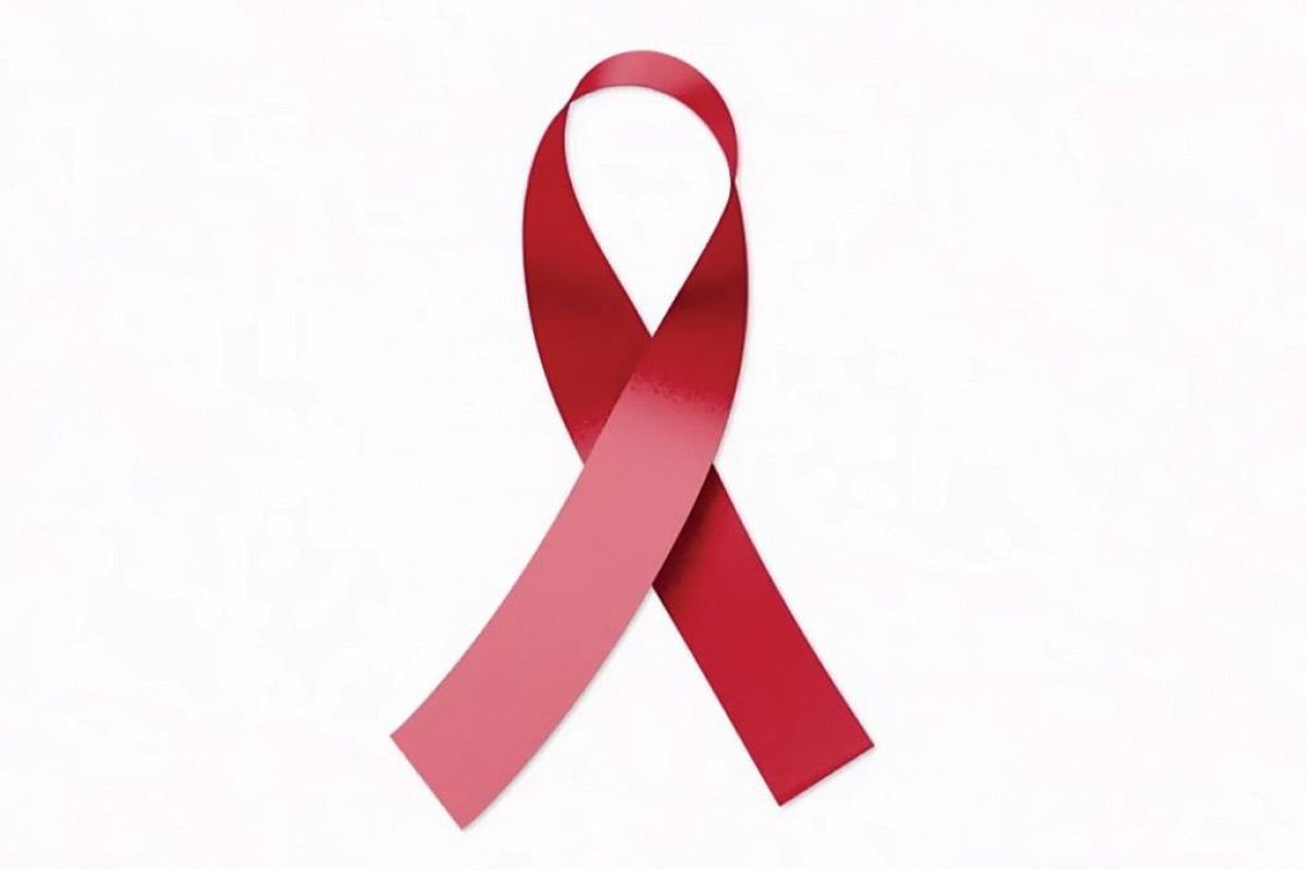 985153644ebc4d5ae4c873e5d44ed3aa XL 279152e9