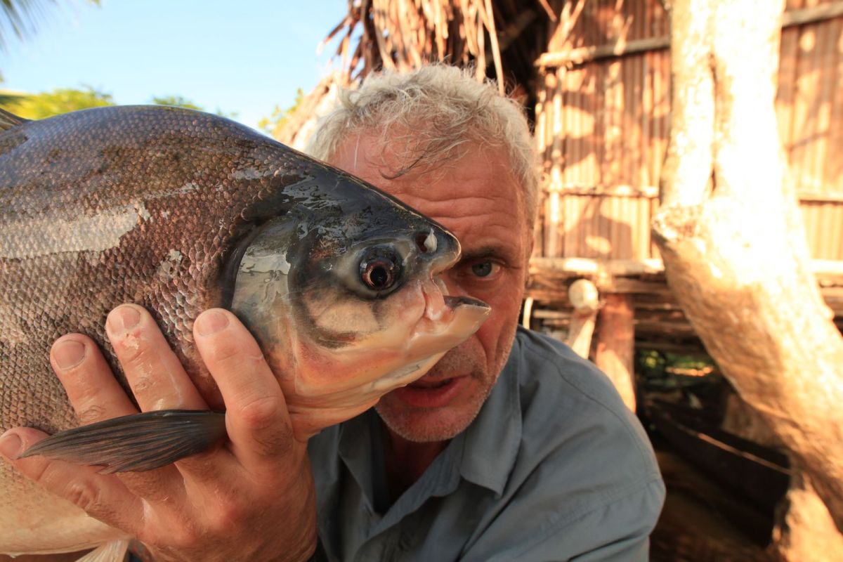 Viasat Nature River Monsters 3 1380 27c02859