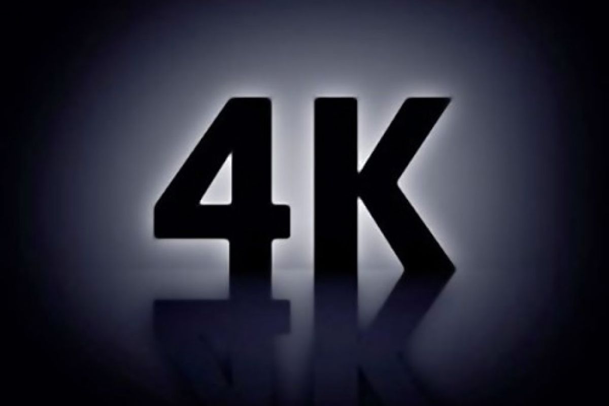 6e100b693083fe7b237779ffd809d8b7 XL 282a9905