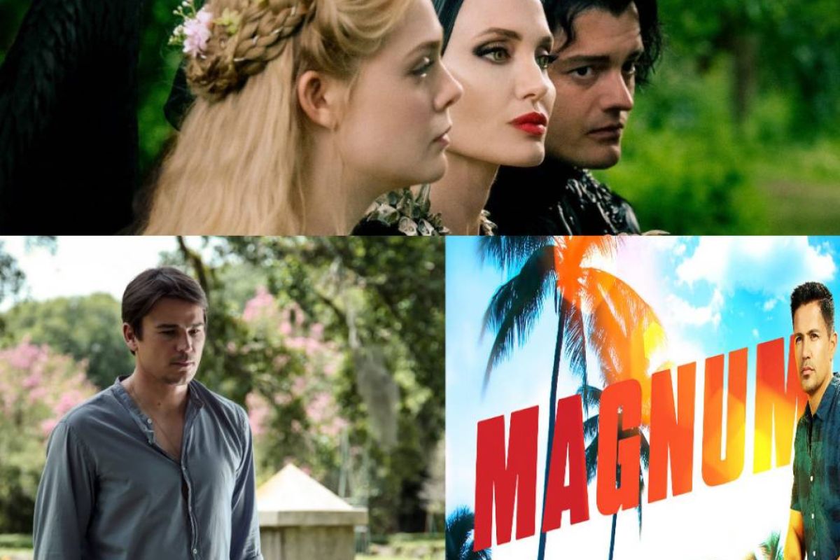 c1782cc73daec86948d5721c95bbd148 XL 28415169