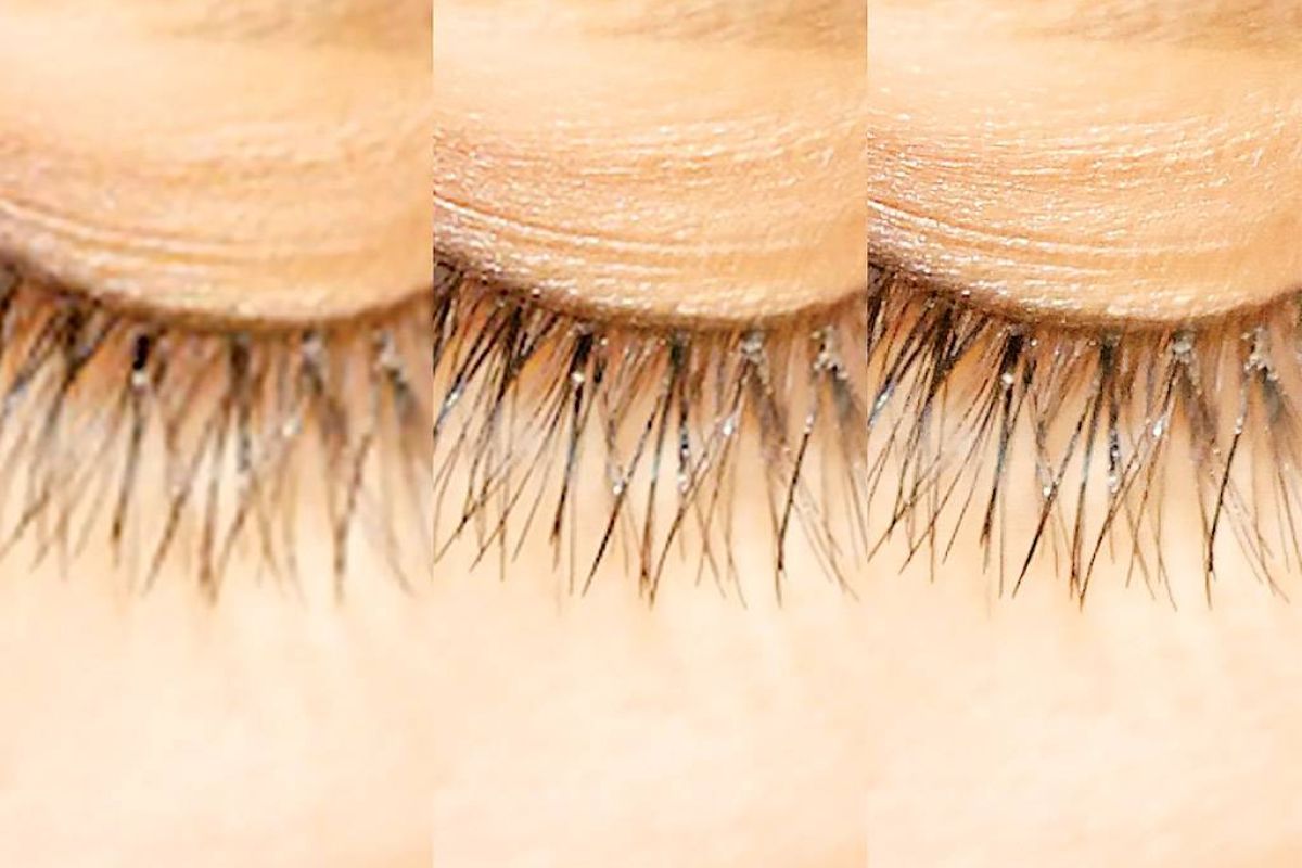 cc37ff97c90a425f0f26592abb6d533f XL 282b46cd