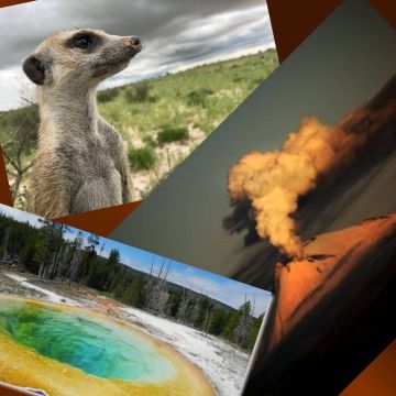 Φεβρουάριος στο Viasat Nature: Μια ανατρεπτική σαπουνόπερα με πρωταγωνίστριες αξιολάτρευτες σουρικάτες